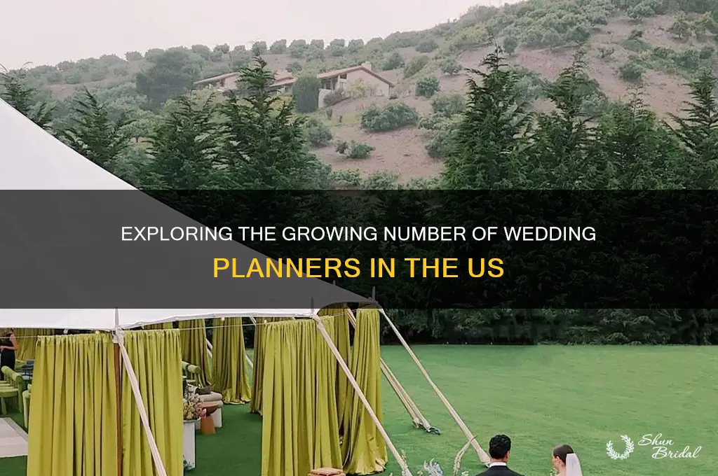 how many wedding planners are in the us