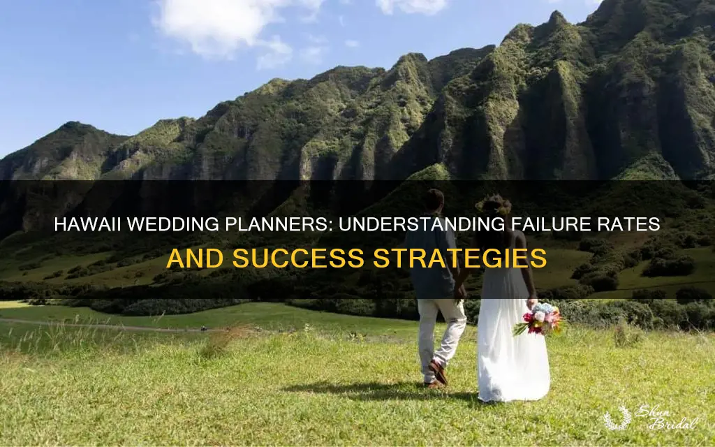 how many wedding planning businesses fail in hawaii