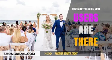 Discovering the Vast User Base of Wedding Spot: A Comprehensive Overview