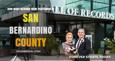 San Bernardino County Wedding Stats: How Many Couples Tied the Knot?