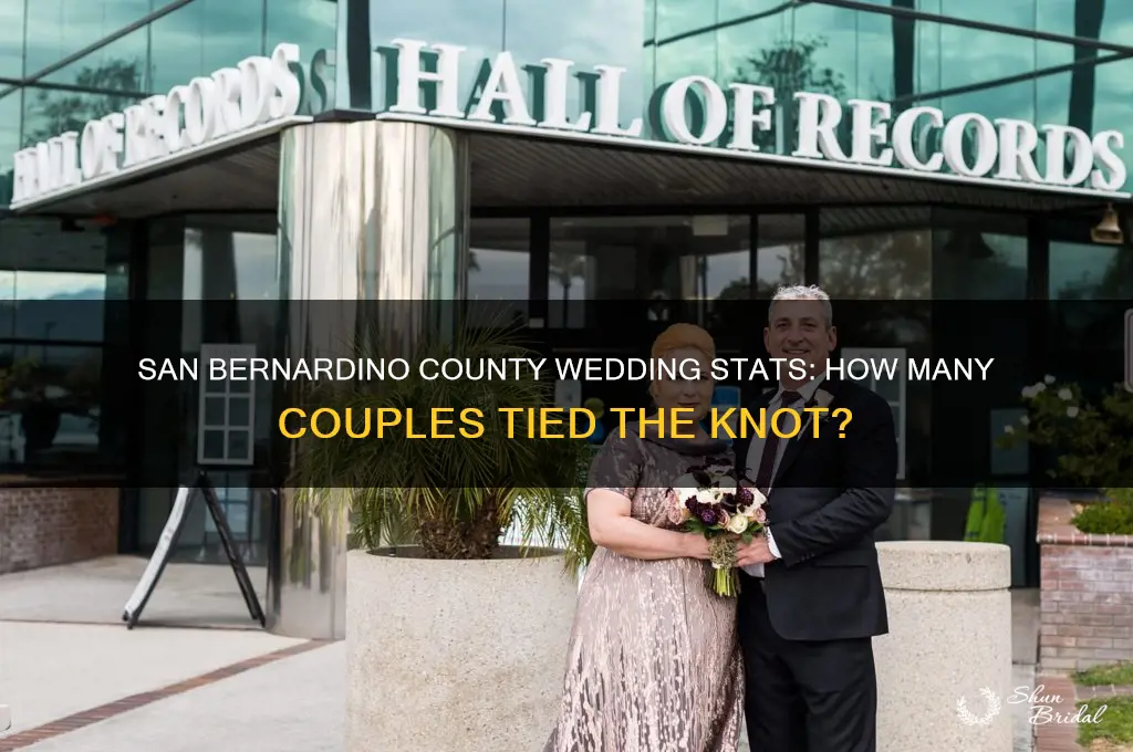 how many wedding were performed in san bernardino county