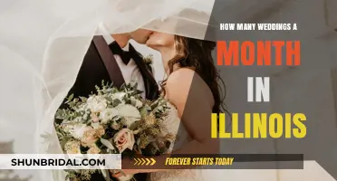 Illinois Wedding Stats: Monthly Marriage Numbers and Trends Revealed