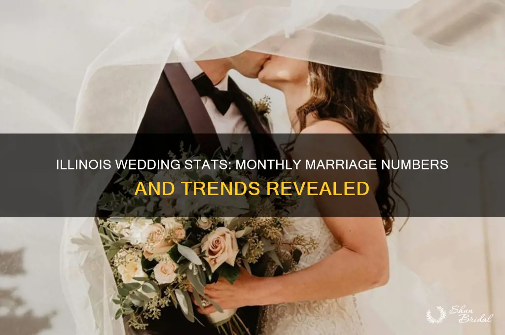 how many weddings a month in Illinois