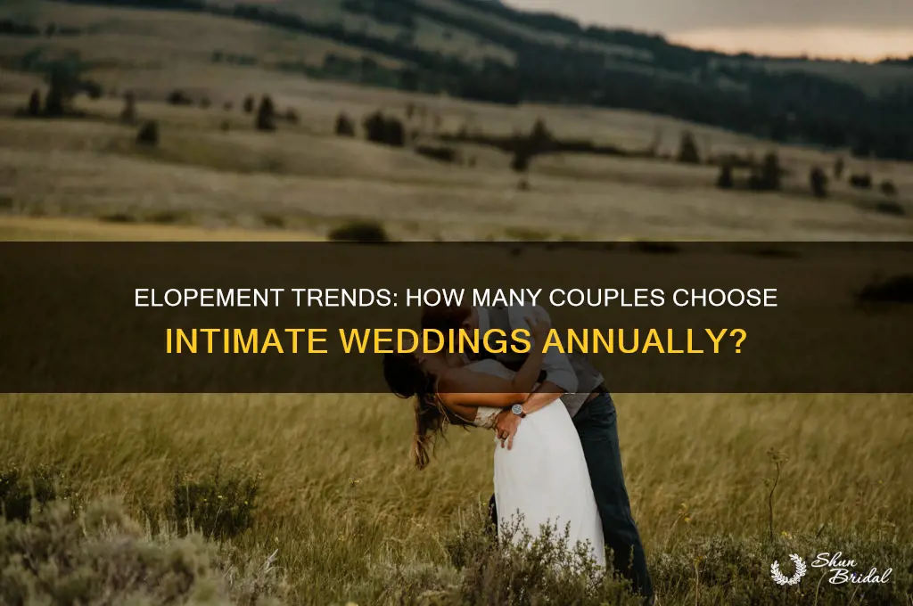 how many weddings a year are elopements