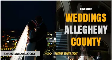 Allegheny County Wedding Stats: Unveiling Annual Marriage Numbers