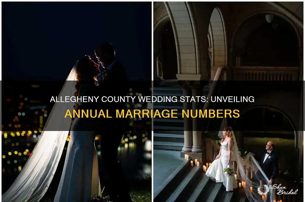how many weddings allegheny county