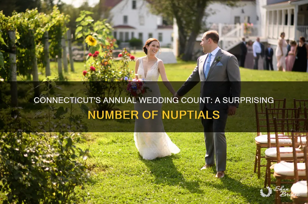 how many weddings are held in connecticut per year