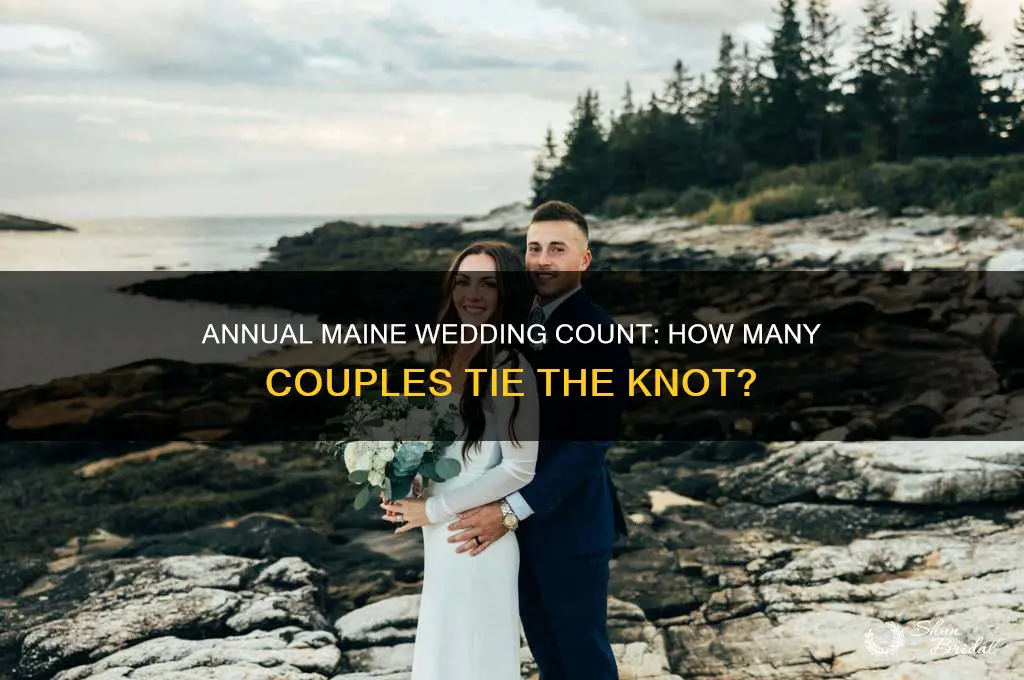 how many weddings are held in Maine per year