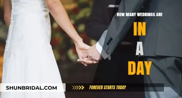 Daily Wedding Count: Surprising Statistics on Global Celebrations