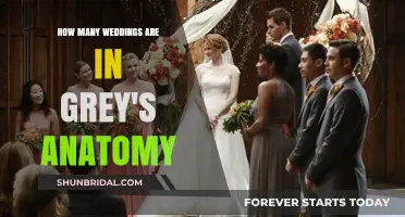 Grey's Anatomy's Wedding Count: A Comprehensive Look at the Nuptials
