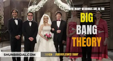 The Big Bang Theory's Wedding Bonanza