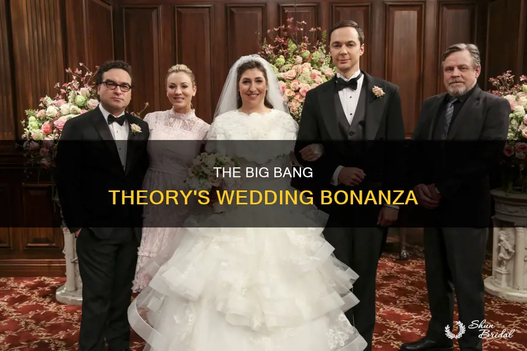 how many weddings are in the big bang theory