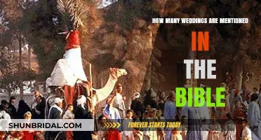 Biblical Weddings: Exploring the Number of Marriages Mentioned in Scripture