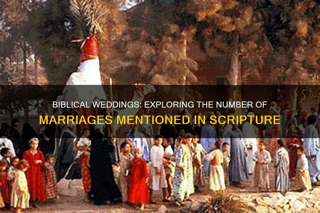 how many weddings are mentioned in the bible