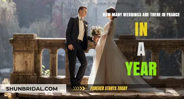 Annual Wedding Count in France: A Surprising Statistical Overview