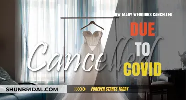 COVID's Impact: Cancelled Weddings and Shattered Dreams in 2020