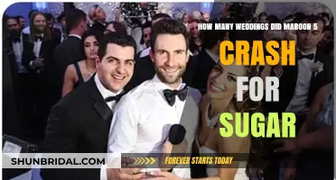 Maroon 5's Wedding Crashing Adventures for 'Sugar' Music Video