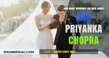 Nick Jonas and Priyanka Chopra's Wedding Extravaganza: A Love Celebration
