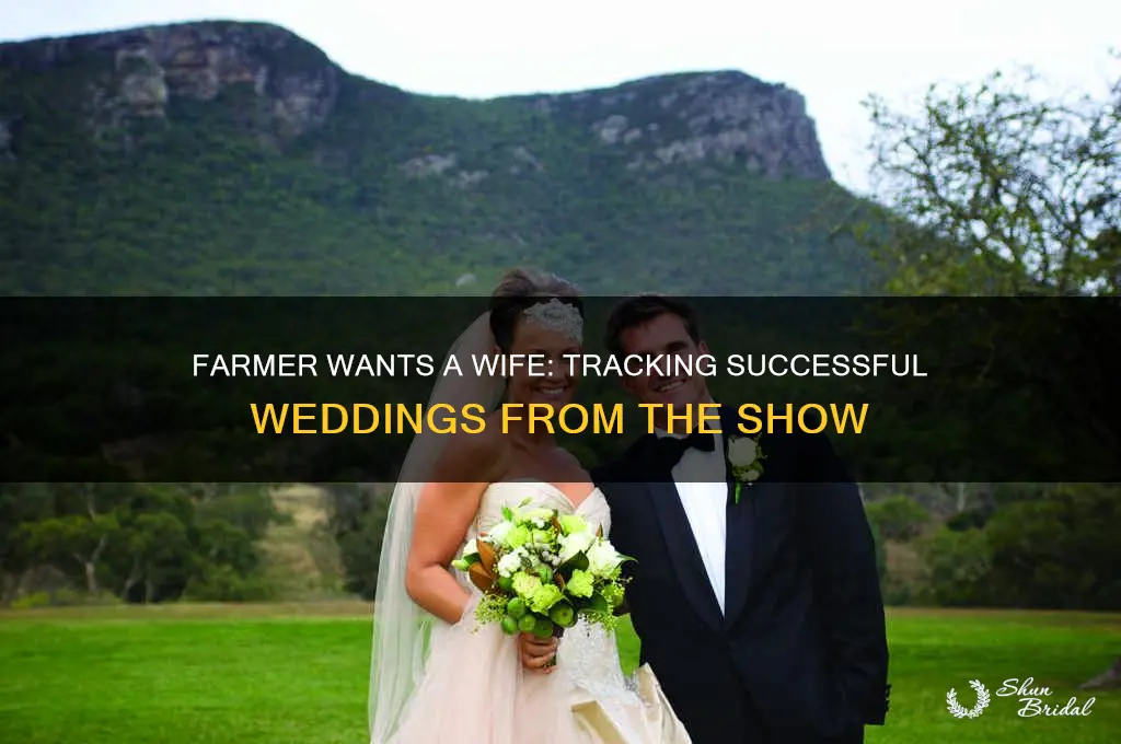 how many weddings from farmer wants a wife