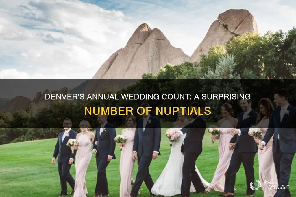 how many weddings happen in denver every year
