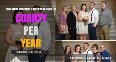 Marquette County's Annual Wedding Count: A Surprising Local Trend