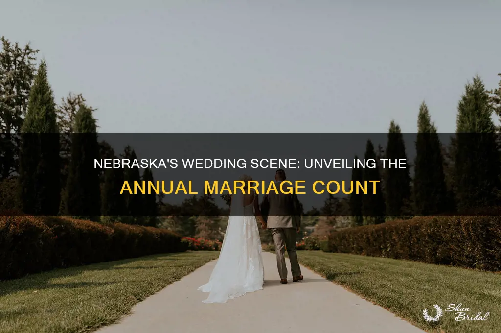 how many weddings happen in nebraska