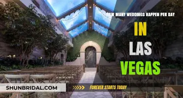 Las Vegas Wedding Frenzy: Daily Marriage Numbers Revealed