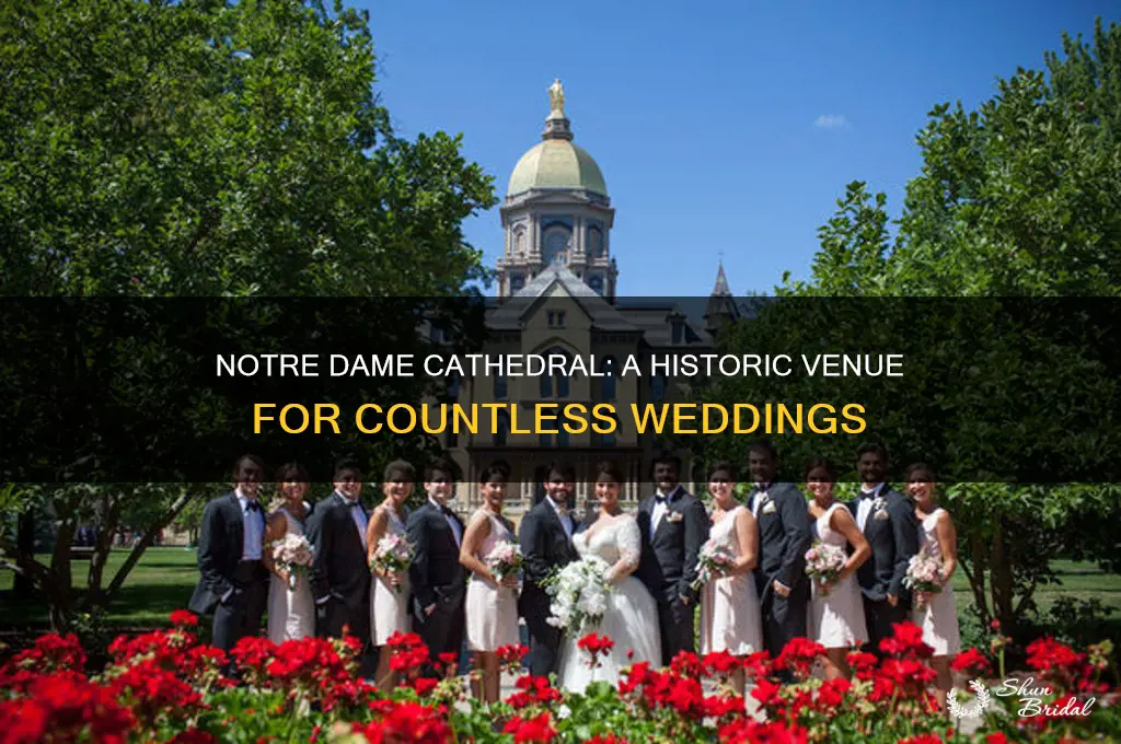 how many weddings have been at cathedral of notre dame