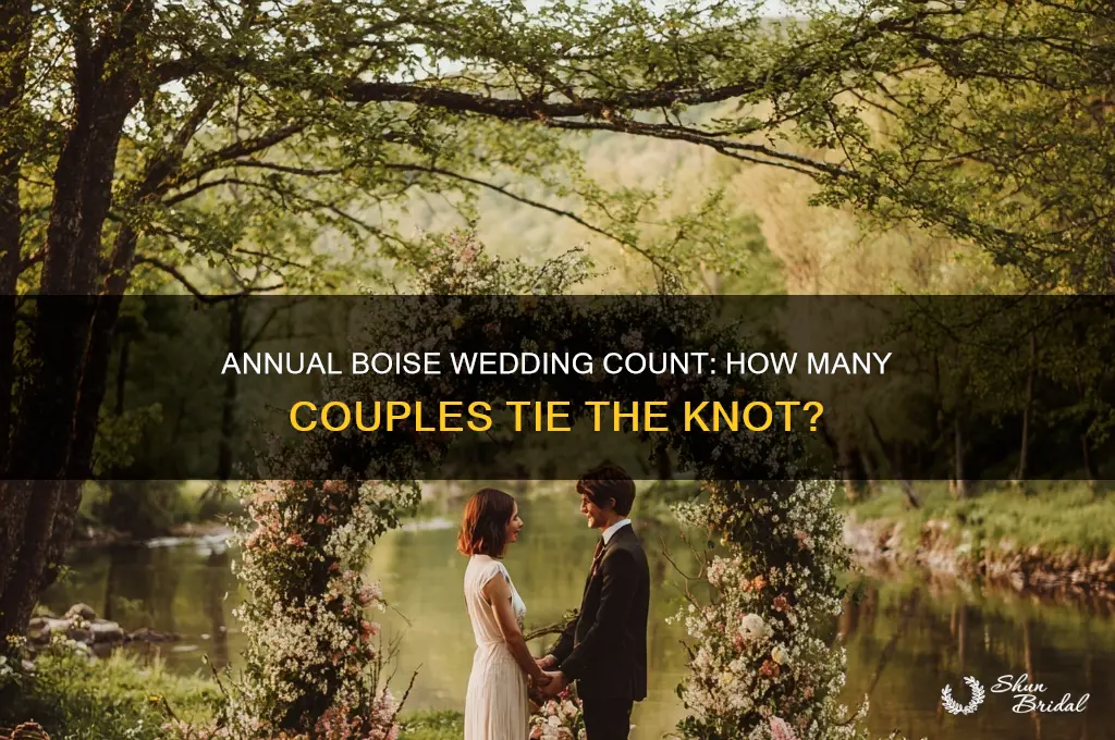 how many weddings in boise area a year