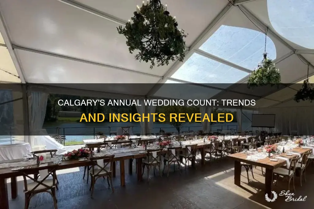 how many weddings in calgary per year