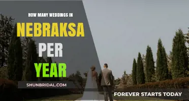 Nebraska's Annual Wedding Count: Trends and Insights Revealed