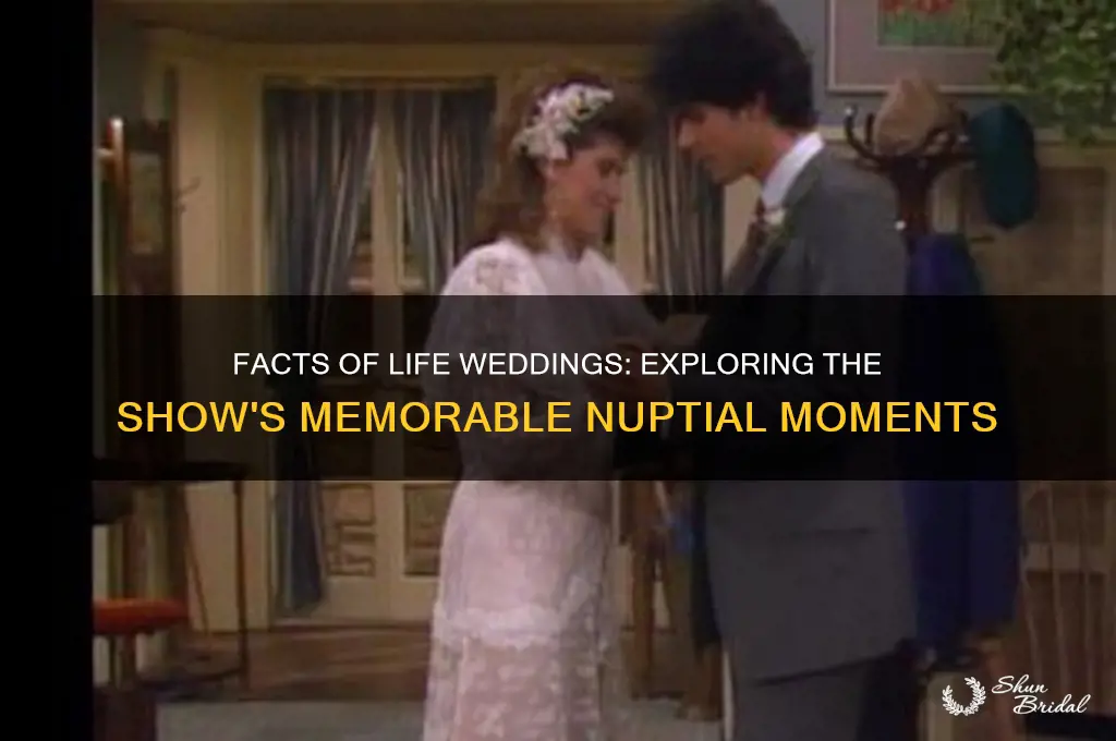 how many weddings on facts of life