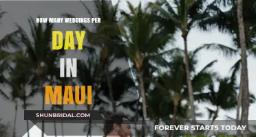 Maui's Daily Wedding Count: Unveiling the Island's Romantic Rhythm