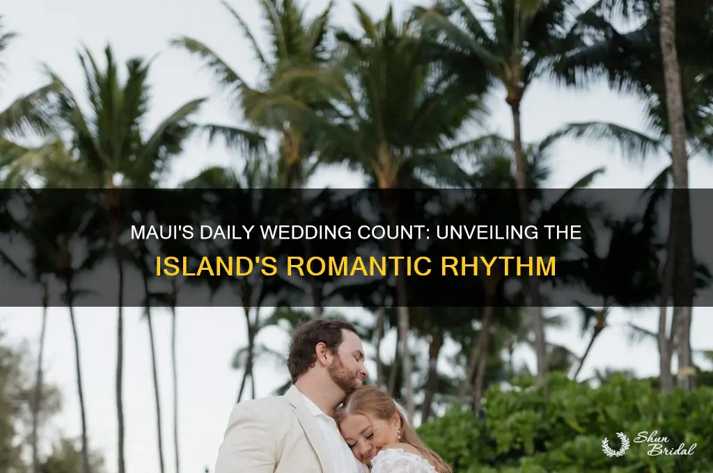 how many weddings per day in maui