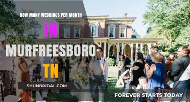 Murfreesboro TN Wedding Frequency: Monthly Marriage Celebrations Unveiled