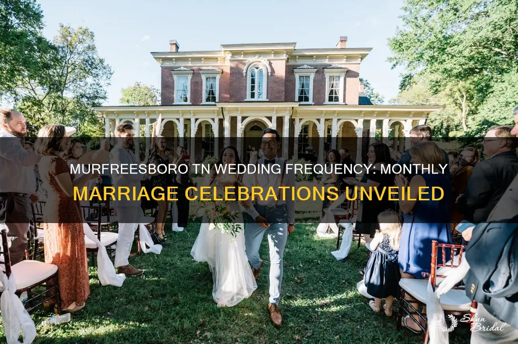 how many weddings per month in murfreesboro tn