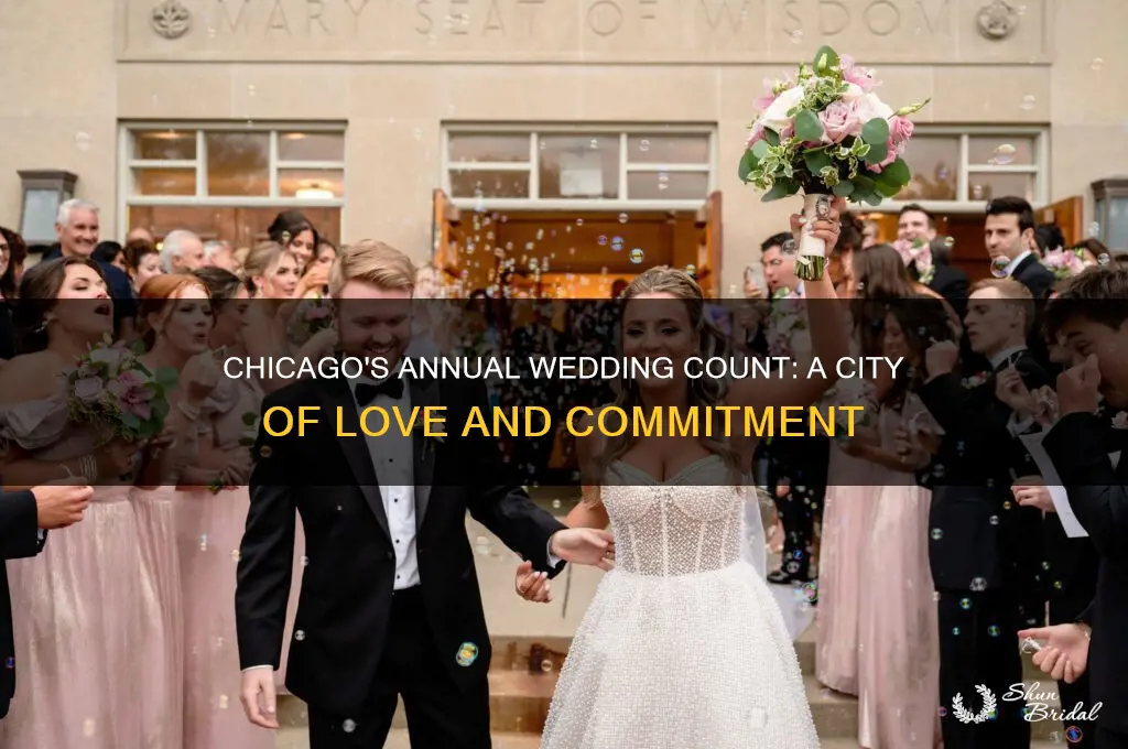 how many weddings per year in Chicago