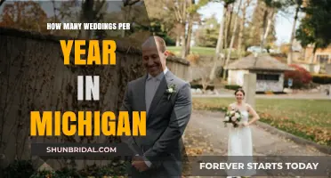 Michigan's Annual Wedding Count: Trends and Insights Revealed