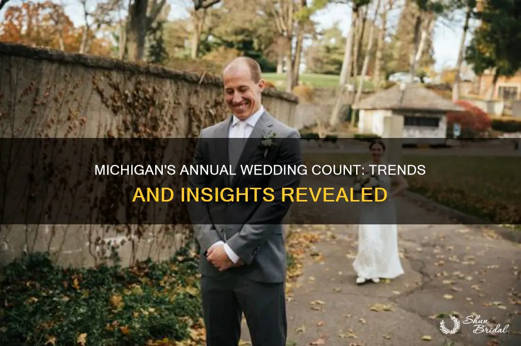 how many weddings per year in Michigan