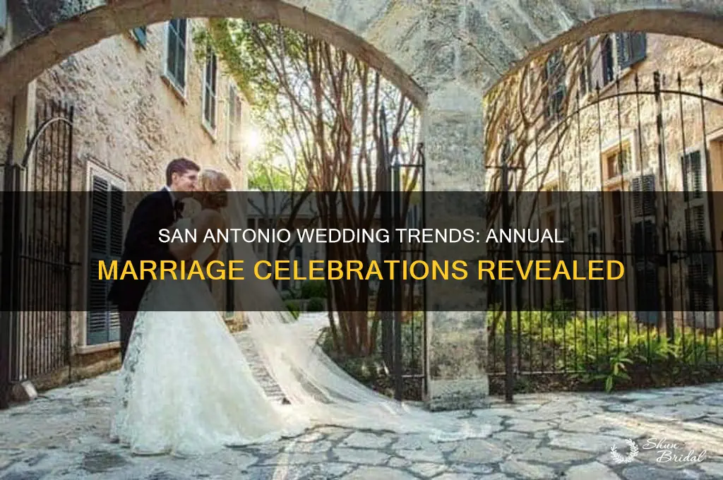 how many weddings per year in san antonio