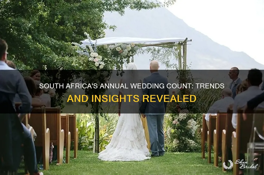 how many weddings per year in south africa