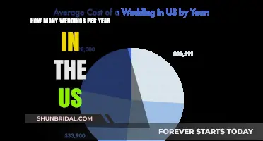 Annual US Wedding Count: Trends and Surprising Statistics Revealed