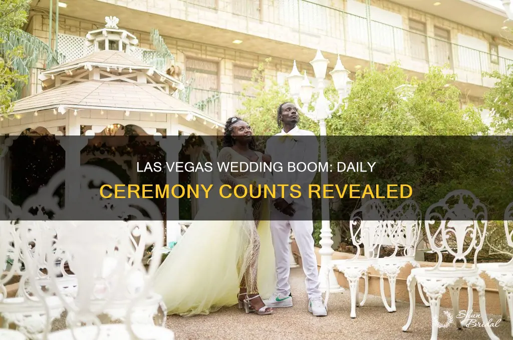 how many weddings performed daily in las vegas