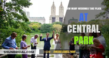 Central Park Weddings: Unveiling the Annual Marriage Ceremony Count
