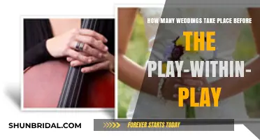 Weddings and the Play-Within-a-Play: Unraveling the Count Before the Performance