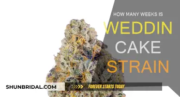 Wedding Cake Strain: How Long Does It Take?