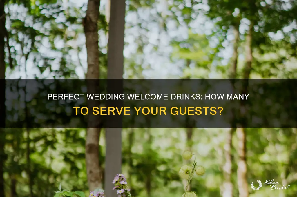 how many welcome drinks at a wedding
