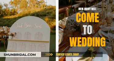 Factors Affecting Wedding Guest Count