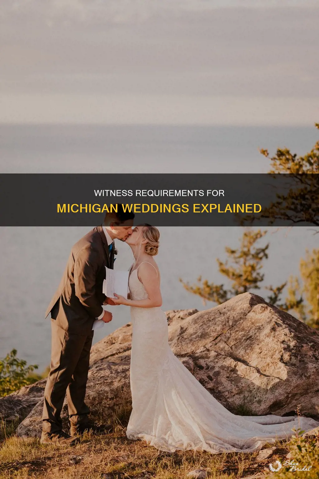 how many witnesses needed for a wedding in Michigan