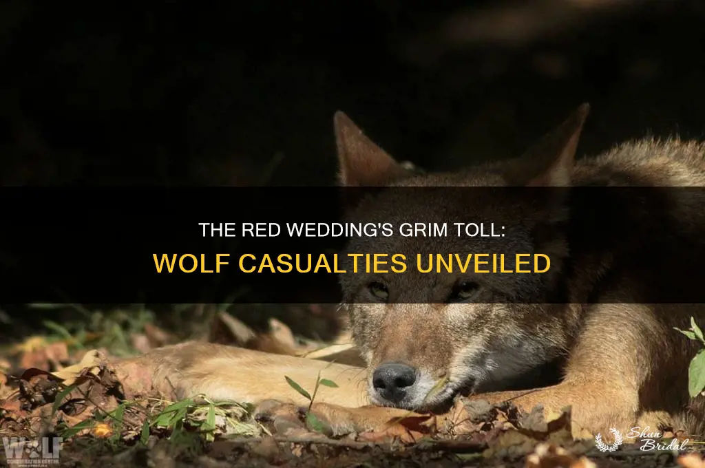 how many wolf died at the red wedding